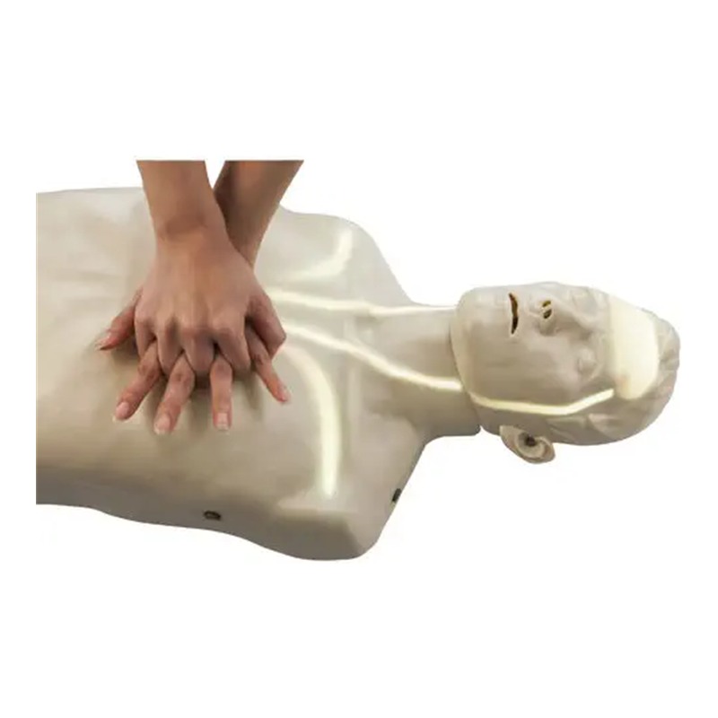 Amoul Man AM5 — CPR mācību manekens